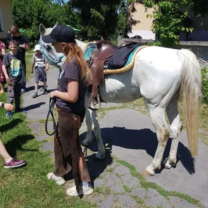 Zo zborového dňa